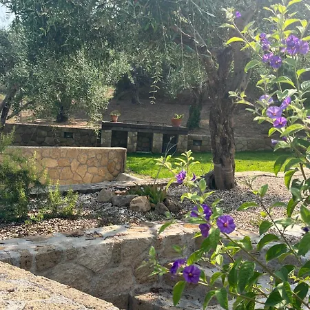 Aeras Luxury Villa *